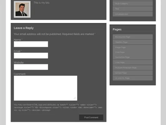 Comment form