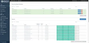 Internet Marketing Ninjas Paid Snippet Tool Project Thumbnail