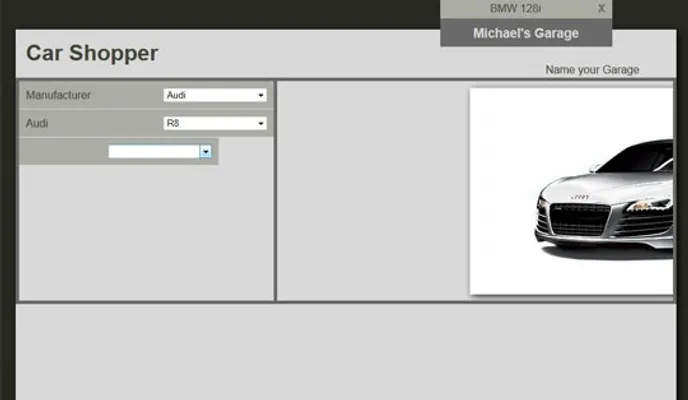 Image and option selection animations