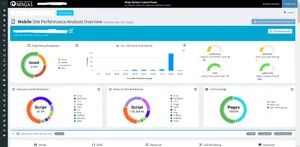 Internet Marketing Ninjas Site Performance Tool Project Thumbnail